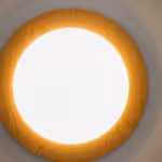 Novae